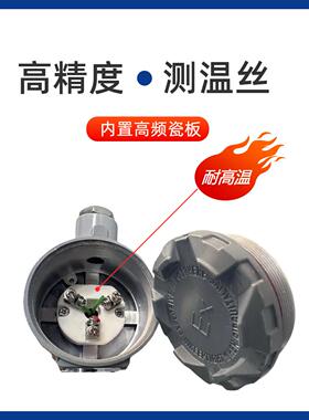 管壁式热电阻热电偶防爆一体铠装电伴热带专用PI100温度传感器