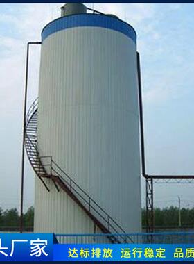 源头生产厂家 EGSB污水处理厌氧罐 生物废水处理净化