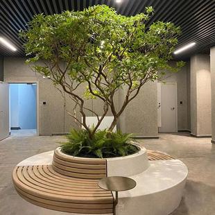 仿真马醉木绿植造景假植物装饰室内大型落地景观仿真树橱窗装饰树