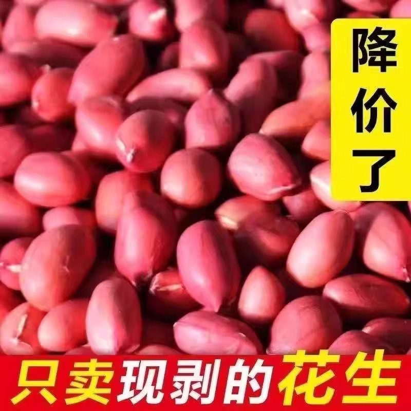 东北新货四粒红皮花生米去壳红皮花生米红衣花生米红皮花生米