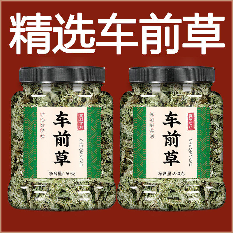 野生车前草中药材500g正品新鲜干货泡茶车钱草中药泡水车前草茶