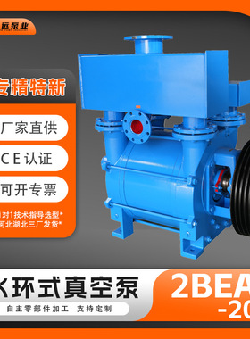 冀真2BE202水环式真空泵22kW气量720m3/h抽真空博远泵业节能高效