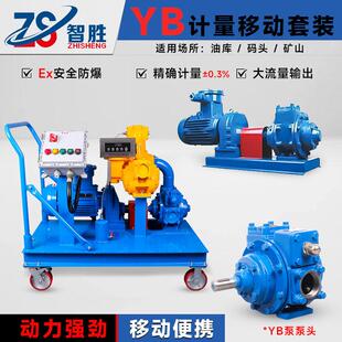 智胜YB系列叶片头YB5泵06MAGA-1025/80/100计量总成传/输泵BVaneP