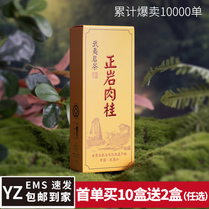 福建岩茶马头岩肉桂茶叶品鉴装正宗武夷山茶大红袍茶桂皮味乌龙茶