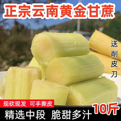 正宗云南黄金甘蔗新鲜现砍包邮