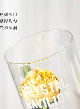 雪柳龙柳马醉木花瓶摆件客厅插花特大号玻璃透明富贵竹百合高级感