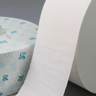 惠莎大卷纸厕纸745克卫生纸家用商务公厕大卷酒店专用大盘纸整箱