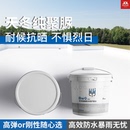天冬聚脲胶漆涂料防水防晒漆防腐漆水泥彩绘漆耐候墙面漆油漆室外