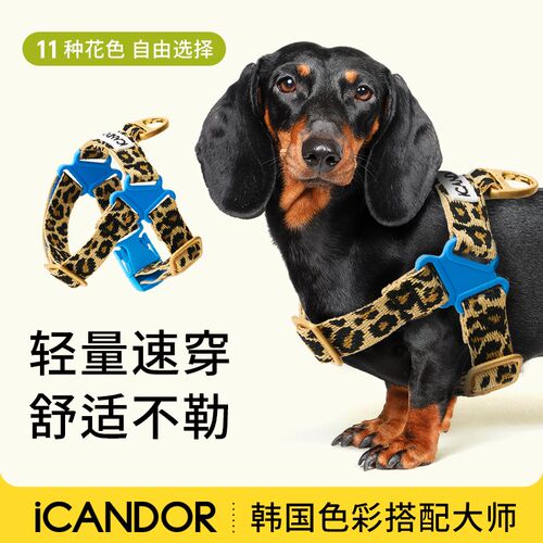 iCANDOR韩国进口狗狗无压力胸背带防爆冲胸背中小型犬遛狗牵引绳