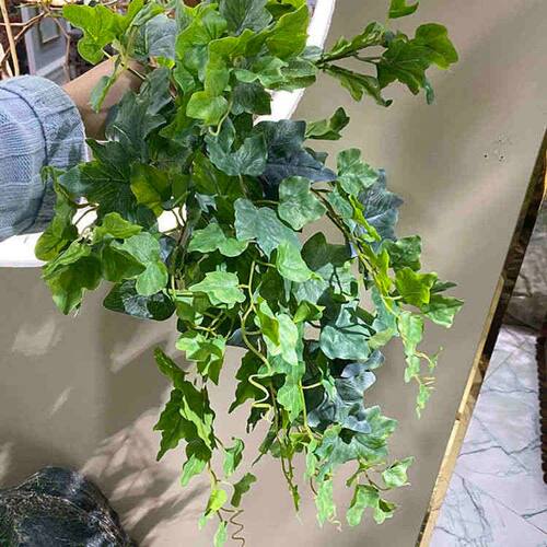 仿真常春藤吊藤灰绿地瓜叶爬山虎吊兰壁挂藤条植物墙花箱橱窗装饰