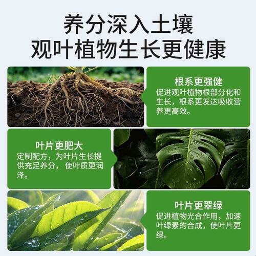 施可丰绿植缓释肥颗粒多肉专用龟背竹盆栽室内观叶植物通用肥料