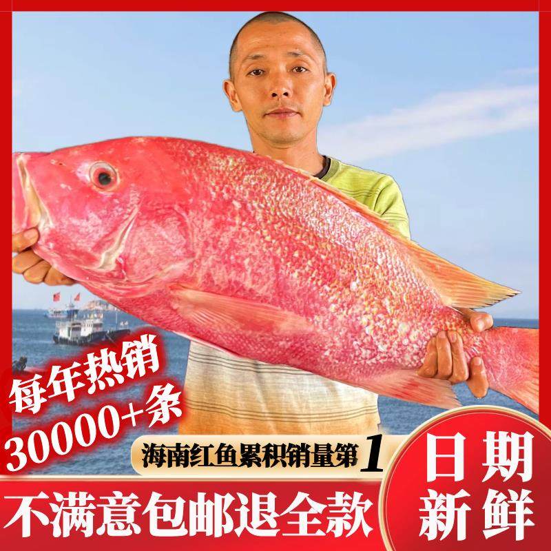 .儋州大红色鱼干 干海南特产海鲜干 干货整条深海淡口咸鱼非湛江