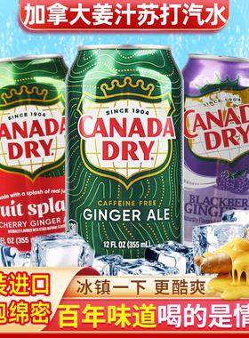 包邮加拿大Canada dry Ginger Ale 姜汁汽水干 干姜水生姜水8罐饮
