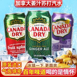 dry 加拿大Canada Ginger Ale 干姜水生姜水8罐饮 姜汁汽水干 包邮