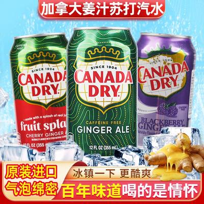 包邮加拿大Canada dry Ginger Ale 姜汁汽水干 干姜水生姜水8罐饮
