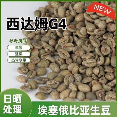 绿之素西达姆日晒咖啡生豆原料G4西达摩Sidamo意式拼配基豆小颗粒
