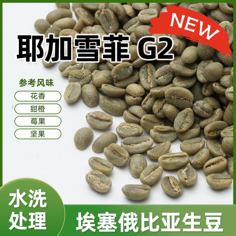 25产季耶加雪菲咖啡生豆原料G2埃塞俄比亚进口生豆花香囤货量贩装