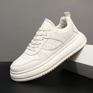 高低潮流板鞋 蛇年白茶北卡蓝休闲时尚 qf12.19..1 60款 2025