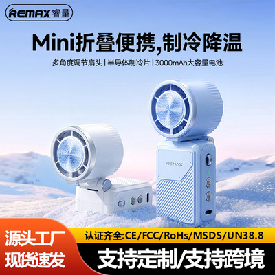 Remax/睿量吹风塑料手持式