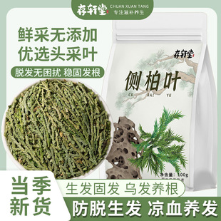 存轩堂秦岭野生现采新鲜侧柏叶100g阴干洗头乌发防脱养发生发黑发