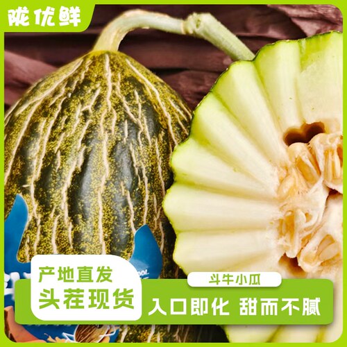 陇优鲜民勤斗牛蜜瓜产地直发