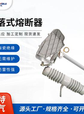 户外高压跌落式熔断器HRW12F-15-200A令克开关跌落式熔断器
