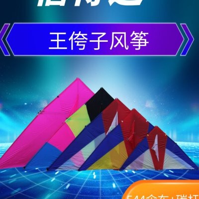 王侉子风筝 大型三角夜光风筝伞布碳杆成人初学者微风抗大风包飞