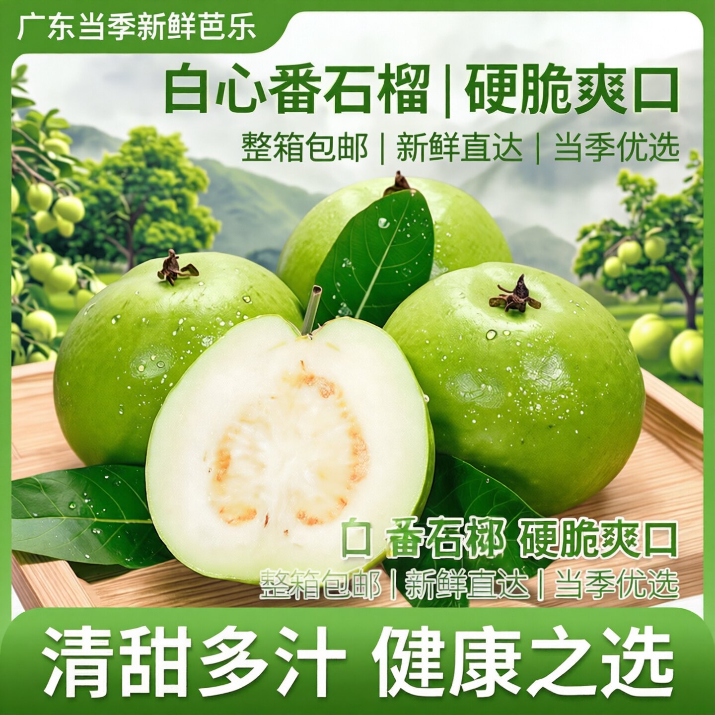 广东芭乐白心番石榴新鲜水果硬脆番石榴/芭乐
