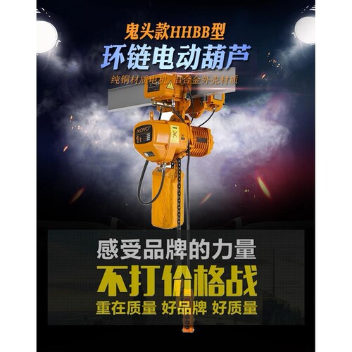 环链电动葫芦 1T2t3吨挂钩/运行式4m6米9M链条提升吊机货梯提升机