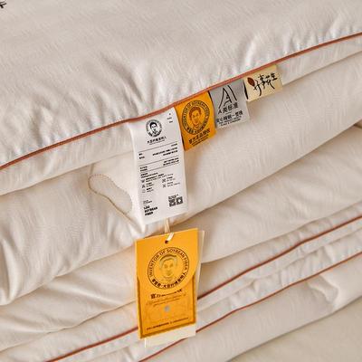 2厚025秋冬新款全棉李官奇35FT202406大豆纤被芯加保维暖绣花双人