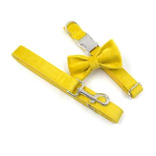 可调宠物狗 1957黄厚绒狗牵引绳项圈哈蝴蝶结套装 节迷老板新款