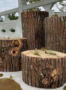 墩木桩圆AL102285饰木实具木桩造景装树桩橱窗服店装商场木头桩道