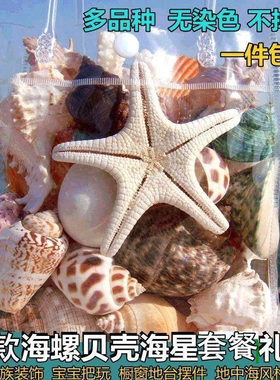 天然海螺贝壳海星珊瑚鱼缸水族装饰橱窗地台居家摆件儿童玩具礼物