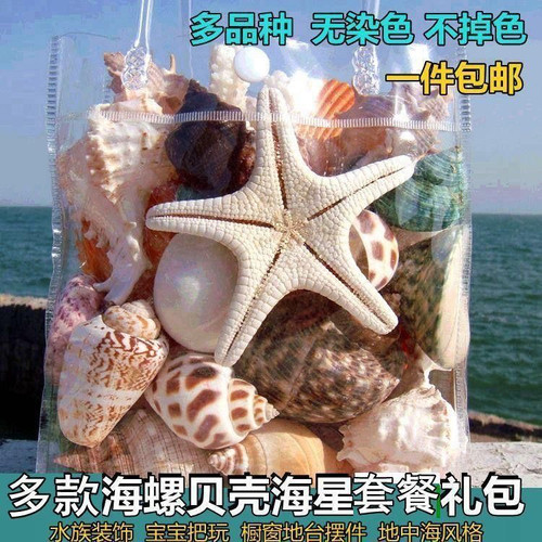 天然海螺贝壳海星儿童玩具礼物