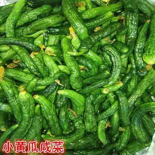 小黄瓜咸菜脆嫩青黄瓜咸菜 正宗东北秘制手工自家腌黄瓜包邮批发