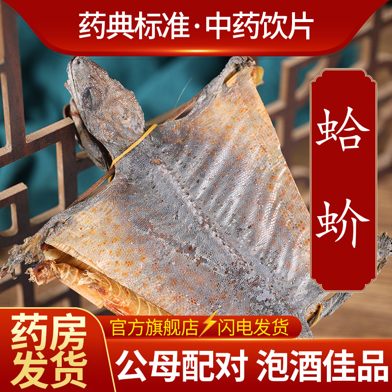 中药材批发官方正品蛤蚧干货大蛤蚧一对公母泡酒中药饮片旗舰店