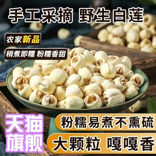 湖南特产湘潭白莲子干货去芯莲米500g无芯取芯磨皮湘莲 新莲子