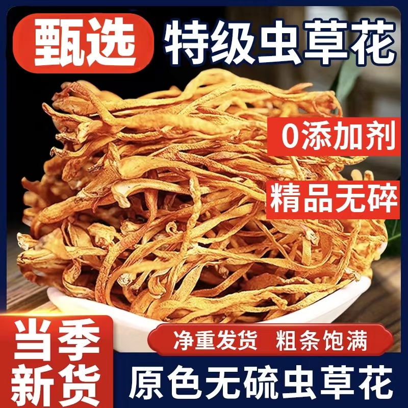 【商用新货】新鲜虫草花干货煲汤