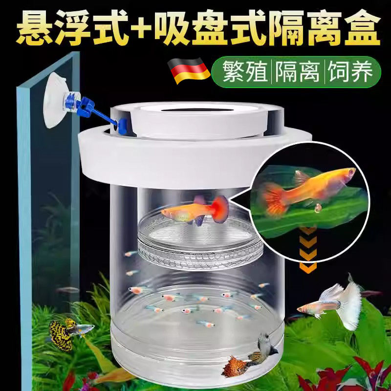 德国孵化盒孔雀鱼繁殖隔离盒凤尾斑马母鱼小鱼缸内胎生鱼产卵孵化