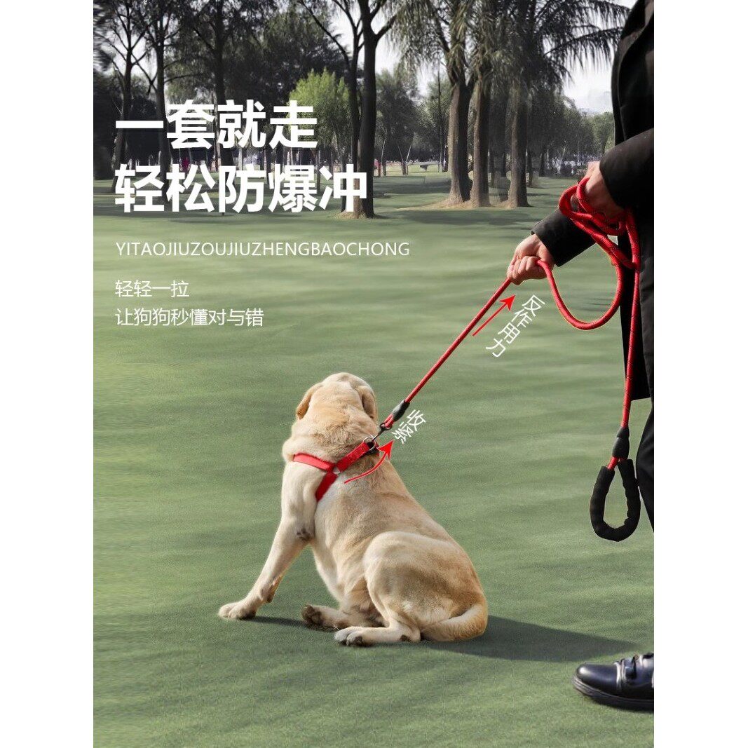 中型犬狗狗牵引绳小型犬泰迪比熊博美胸背带小狗幼犬遛狗绳狗项圈