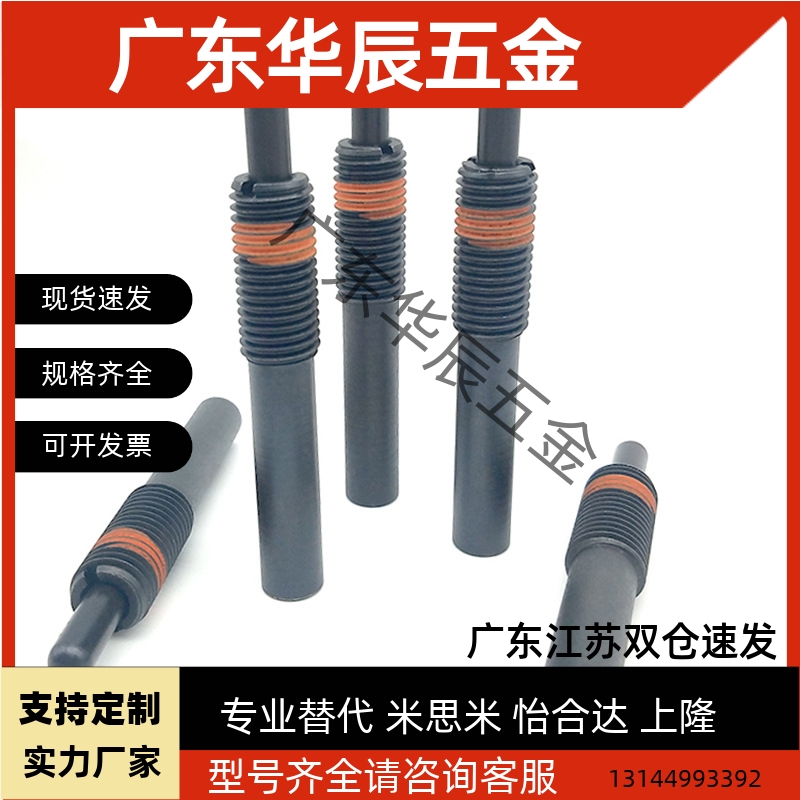 ZAP12-M5-H3/PJH5-3弹簧柱塞柱塞螺钉定位销弹性销钉顶丝