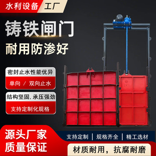 铸铁闸门镶铜闸门一体式启闭机圆方闸门河道渠道农田双向止水闸门