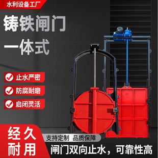 铸铁镶铜闸门双向止水圆方闸门水利水库水闸启闭机一体式铸铁闸门