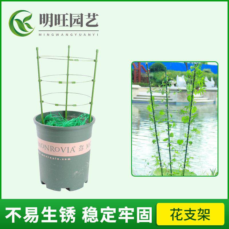 园艺用品花支柱植物生长支架花支架盆栽牵引攀爬支柱花架藤蔓