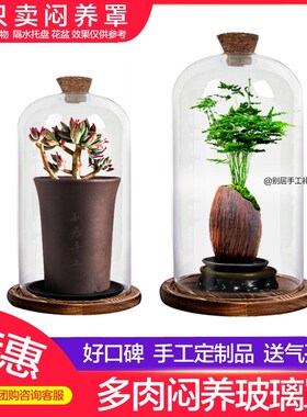 ins万象玉露植物闷养玻璃罩家居多肉小温棚带气孔塞柱形瓶 定制品