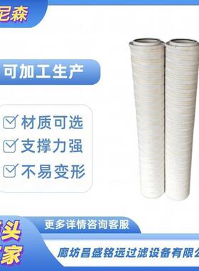 预过滤滤芯HCP100A38050KC净油机保护滤HC8314FKN39H精过滤滤芯