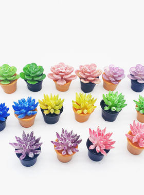 Dollhouse娃娃屋配件 微缩模型微景观摆件迷你仿真花多肉植物盆栽