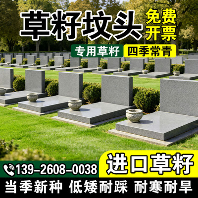 坟头草响铃草籽长镰草