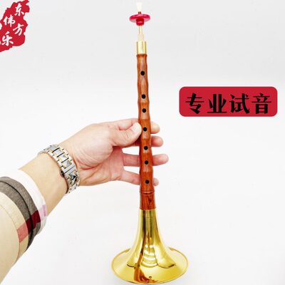唢呐初学者红木唢呐专业演奏唢呐保音准芯子气盘哨片配件全套乐器