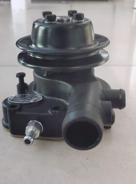 YC2115/2110玉柴动力CAD00-1307020A水泵双缸柴油机冷却循环水泵
